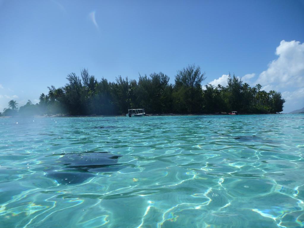 Fare Vaihere Moorea Exterior photo